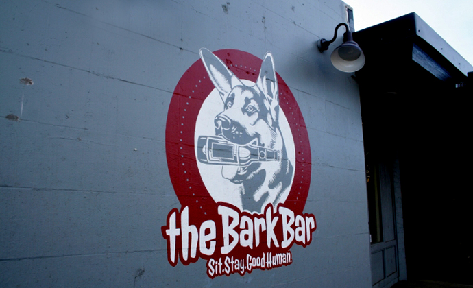 Woof It Up With Your Furry Friends at The Bark Bar
