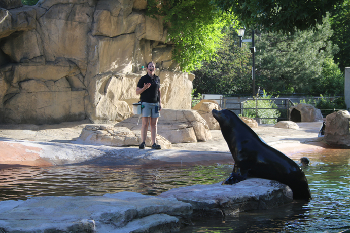 ICYMI: Photo Recap of Do at the Zoo 2014