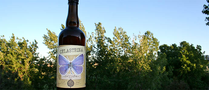 Beer Review: Odell's Celastrina Saison