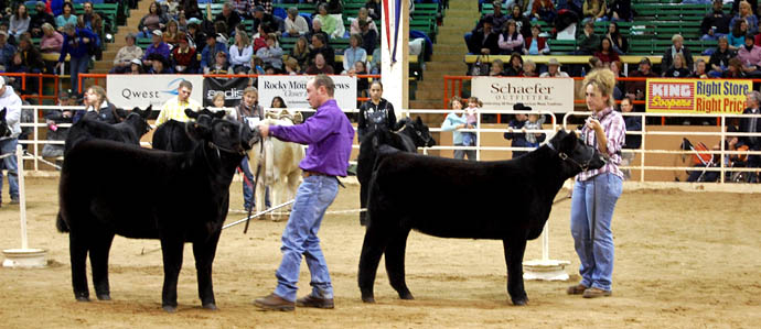 Denver Coliseum Seating Chart Stock Show