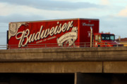 Craft Beer Denver | US Justice Department to Investigate AB-InBev After Complaints of the Company Pushing Craft Beer out of Distributors | Drink Denver