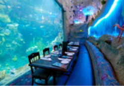 Dive Lounge at the Downtown Aquarium